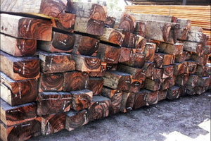 Malaysian Blackwood