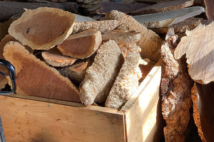 Red Mallee Caps